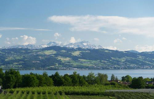 Ferienhaus Behler - Foto 7