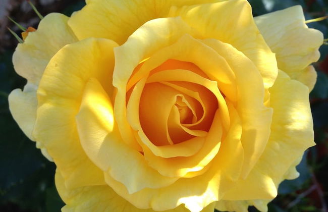 Augusta Escape - Foto 13