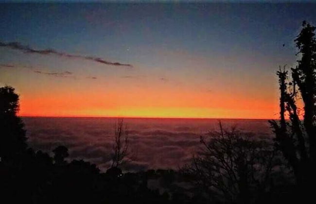 Sharry's Homestay - Foto 35