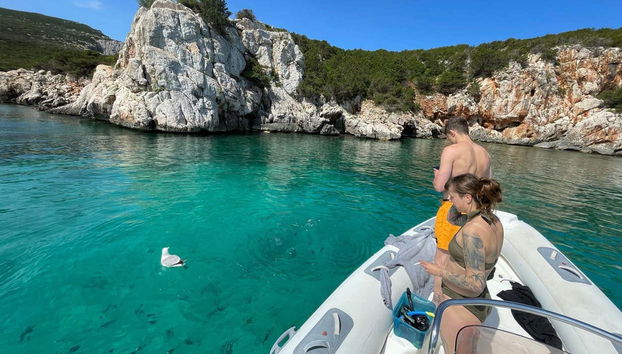 Observez la biodiversité du parc depuis le bateau