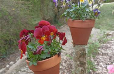 Entre 2 Châteaux - Foto 23