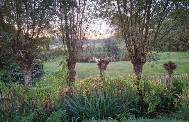 Relaxing Woodland Retreat - Foto 38