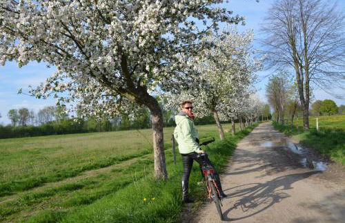 Ferienappartements "Landromantik" - Foto 66
