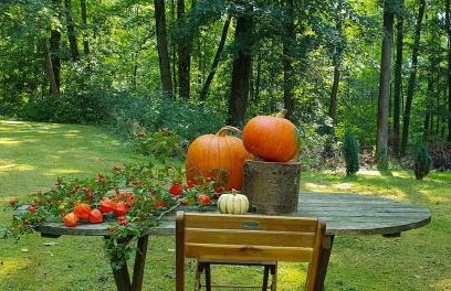 Schöne Wohnung im Naturidyll - Foto 9