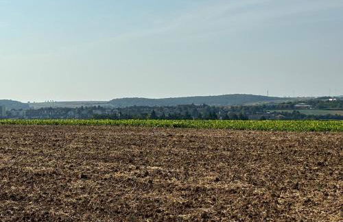 schöne Einliegerwohnung mit Stellplatz - Foto 15