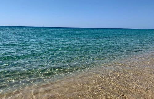 Villa Zippiri Is Molas Pula - Foto 68