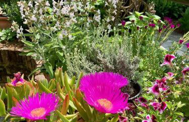 Aegean Sunset - Foto 13