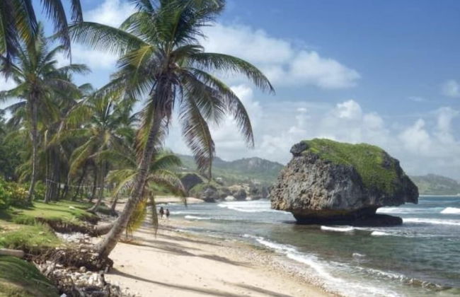 Devachan Apartments - Foto 49