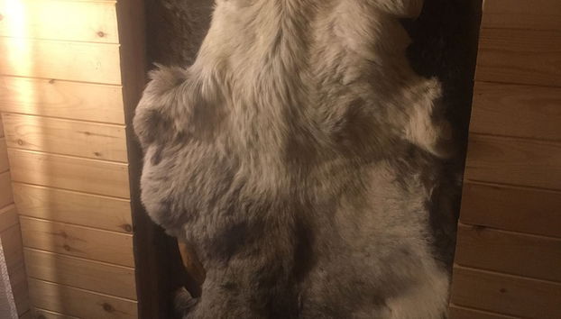 Bear Corner Lodge - Foto 5, Quarto