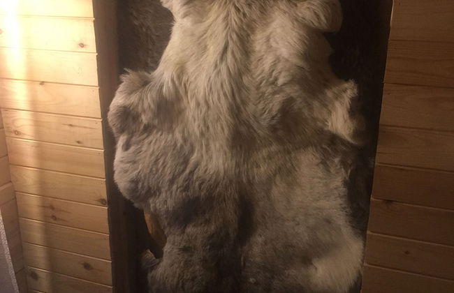 Bear Corner Lodge - Photo 5