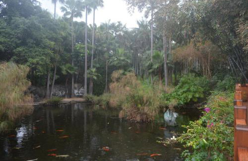 THE TEIDES WINDOW swimming pool LA VENTANA DEL TEIDE - Foto 42