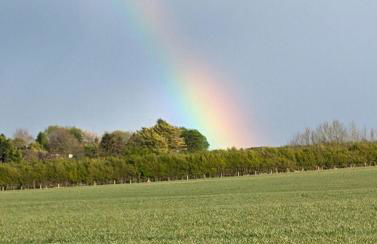 Ridgeway Farm Chilton - Foto 28