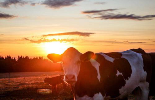 Rhön Apartments - Foto 23