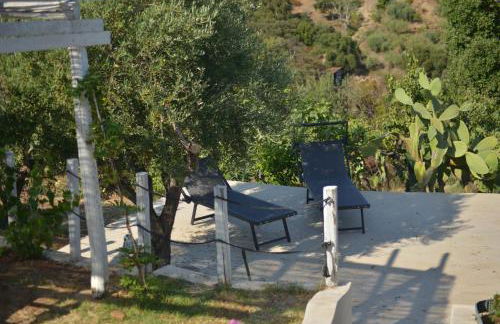 Donna Pulina Holidays - Foto 33