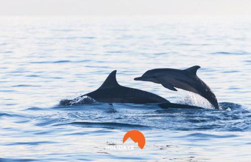 #004 Orada by Home Holidays - Foto 43