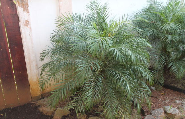 Asteria Studios - Photo 62