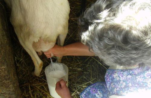 Casas da Encosta - Foto 36