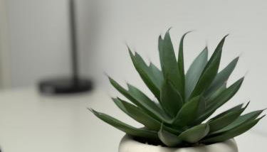 Skylight Studio Kastel - Foto 5