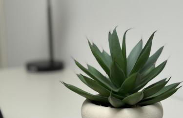 Skylight Studio Kastel - Foto 5