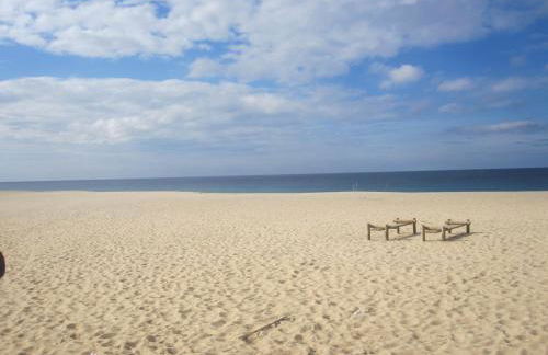 Apartamentos Serranheira - Foto 13