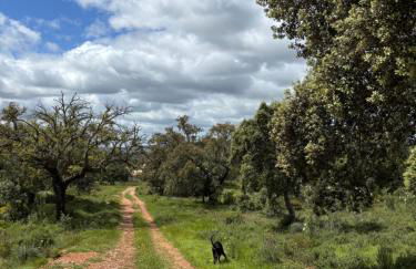 La Casa del Pueblo con piscina y barbacoa - Foto 29
