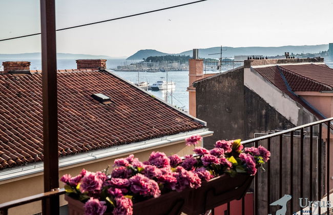 Royal View Apartment - Photo 15