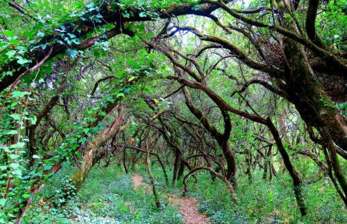 Casa rural La Villa - Foto 33