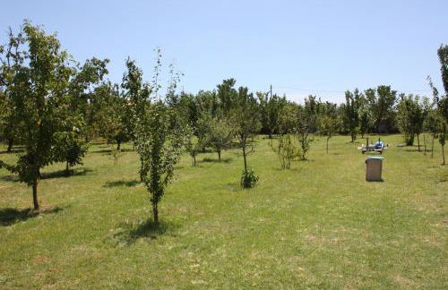 Tuscan Dream Casa Vacanze - Foto 29