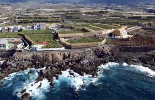 Finca Don Victor - Foto 32