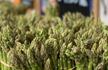 North Fork House for Rent - Photo 65