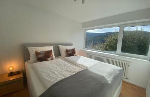 Hochschwarzwald Ferienwohnung - Foto 9