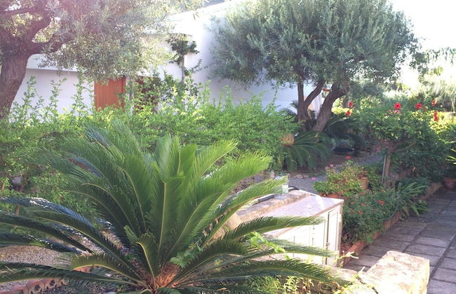 Golfo degli Ulivi Relax - Photo 46