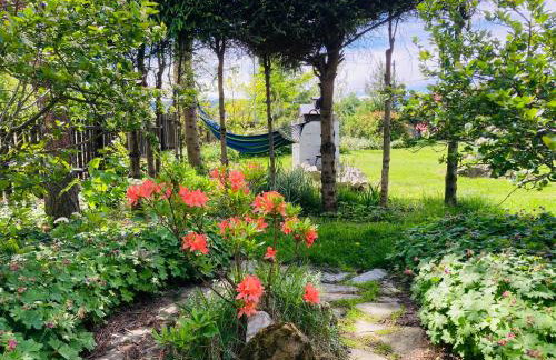 Agroturystyka u Strażaka - Foto 34