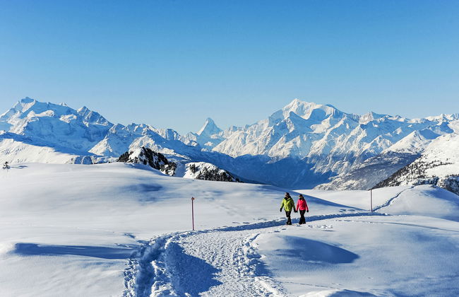 Aragon P36 - Foto 62