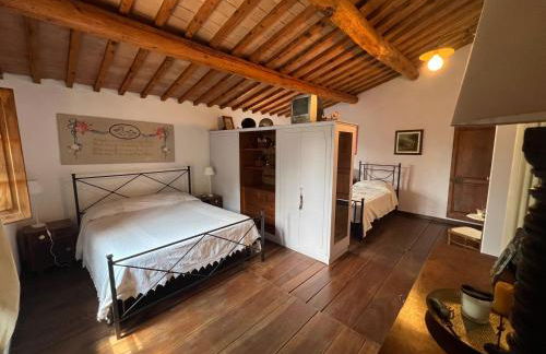 La casa nel bosco - Foto 15