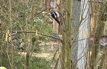 Ferien im Bomlitztal - Foto 53