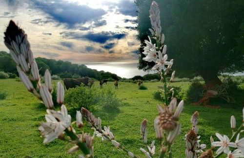 Charming house with sea and mountain views in El Chaparral - Foto 9