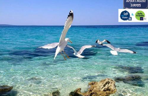 Apartmani Sirius - Foto 29