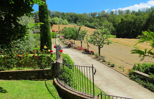 Corbezzolo - Foto 32