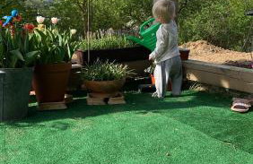 Królewska Sielanka - Foto 53