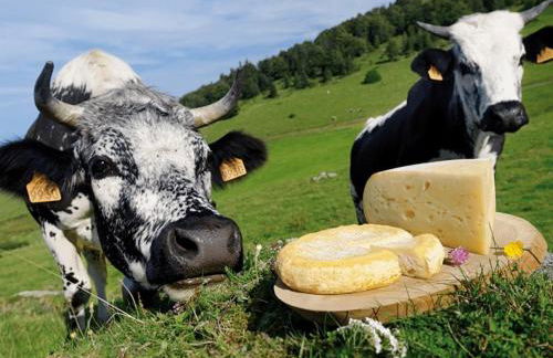 Chez Michèle et Philippe - Foto 20