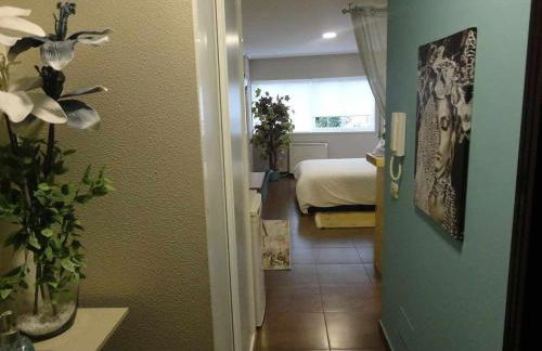 La Ruta de las luces de Vigo - Foto 34