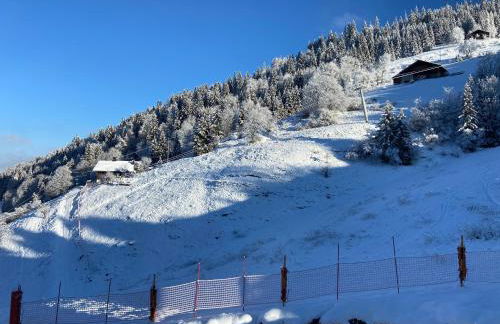 Appartement cosy au pied des pistes - Foto 6