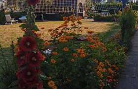 Willa Rubin - Foto 51