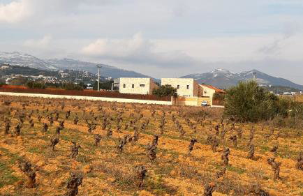 Villa Evinoi - Foto 31