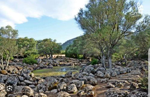 Sa Dommu de Kerciu vista mare con parcheggio - Foto 32