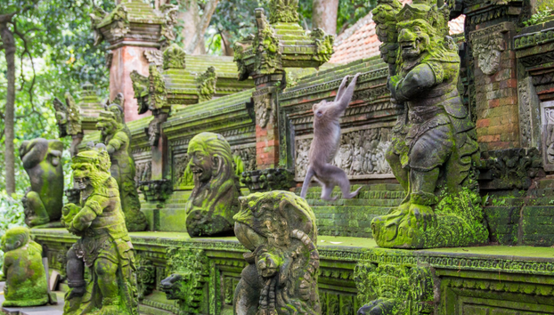 Sacred Monkey Forest in Ubud - Photo 2