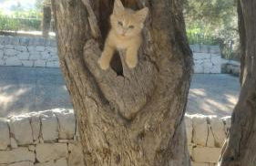 Terre Iblee Resort - Foto 120