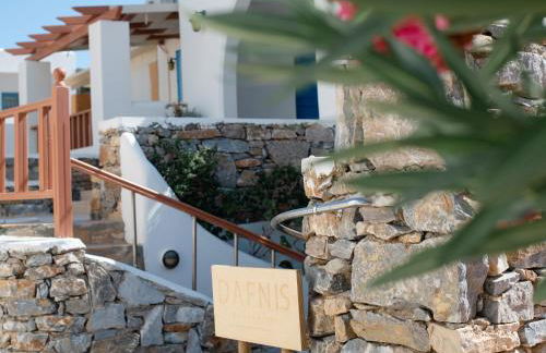 Dafnis Koufonisia - Foto 4