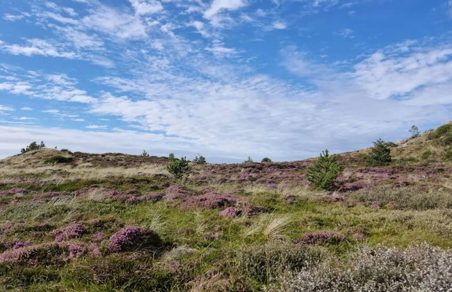 6 Person Holiday Home in Henne-by Traum - Foto 26